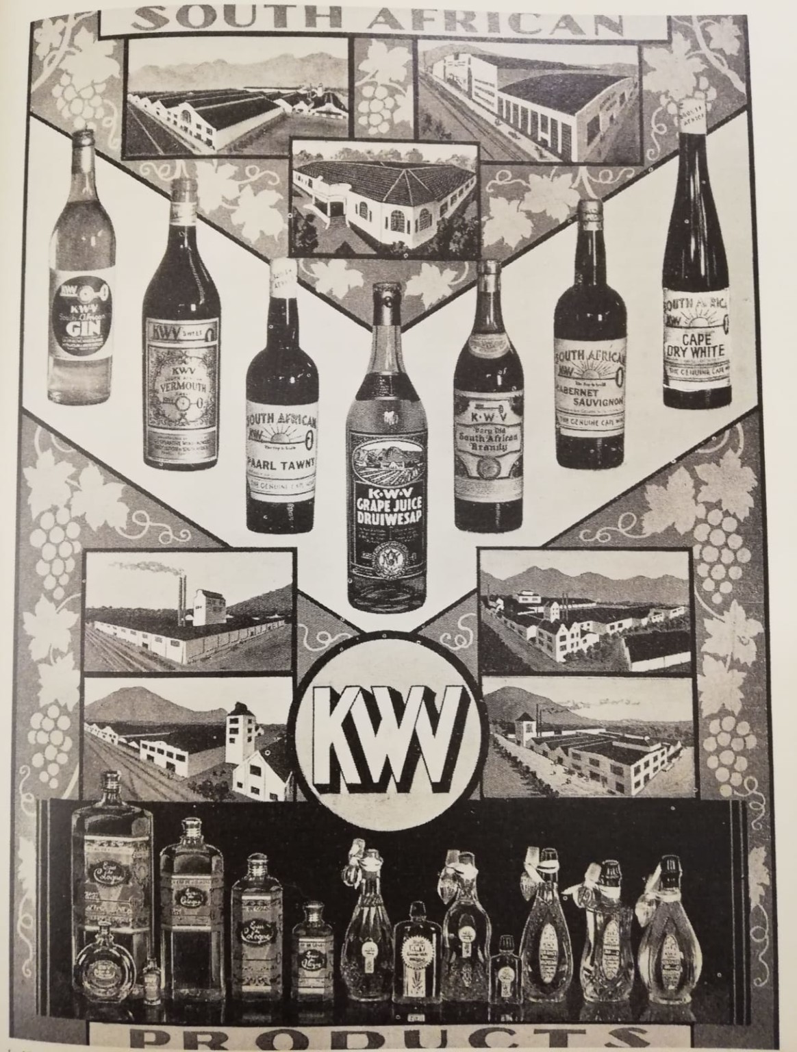 SA Wine History On South Africa’s wine lake (and how it was drained