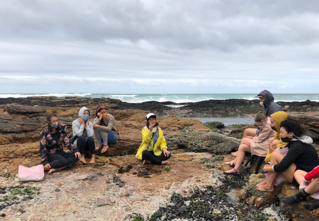 Veld and Sea, Cape Point - winemag