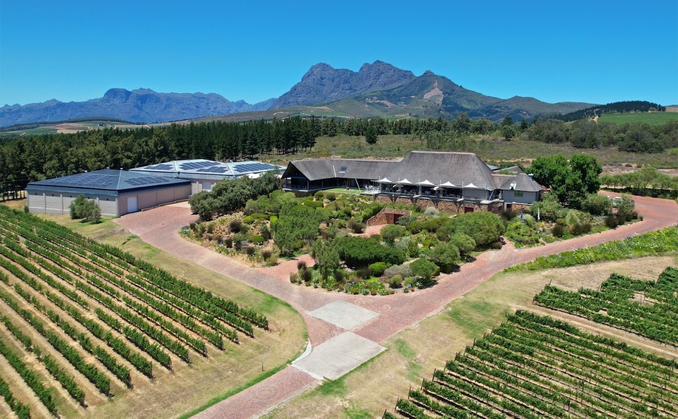 Editorial: A tumultuous two decades in Cape wine
